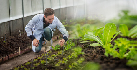 Portrait of handsome agricultural researcher holding tablet while working on research at plantation...