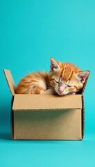 Tiny ginger kitten curled up in a small cardboard box on a bright blue surface, cardboard box, curl, cozy