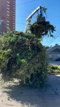 grapple track  removing vegetative trash and tree waste from the street from gardening. Heavy equipment tree and branch clean up.