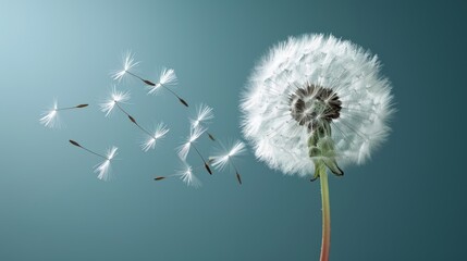 Embracing minimalism  a generative ai exploration of spring allergies and their impact