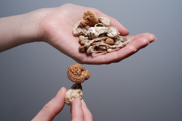 Woman holds handful of shrooms in her hands. Microdosing concept. Dry psilocybin mushrooms on grey background. Remedy of depression. Scientific research. Psychedelic effect. Alternative medical usage