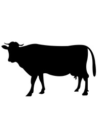 Cow clip art design on plain white transparent isolated background for card, shirt, hoodie, sweatshirt, apparel, card, tag, mug, icon, poster or badge