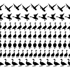 Set of Canada geese black silhouettes. Seamless borders.  Vintage set of birds. Vector illustration on a white background.