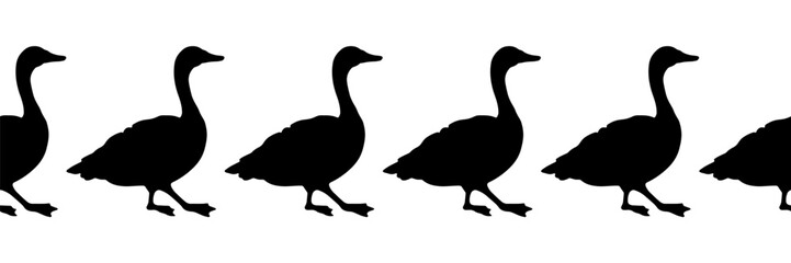 Canada goose. Seamless borders. Pattern of black silhouettes of  walking birds. Vector illustration of geese on a white background.