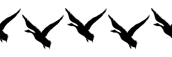 Canada goose. Seamless borders. Pattern of black silhouettes of flying birds. Vector illustration of geese on a white background.