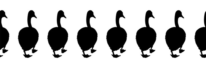 Canada goose. Seamless borders. Pattern of black silhouettes of birds walking back. Vector illustration of geese on a white background.