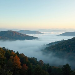 Morning fog rolls in over the rolling hills and trees, landscape, fog