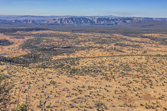 View of Coconino National Forest from the summit of Apache Maid Mountain, Arizona, USA