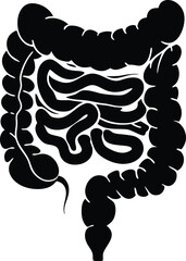 Intestines organ vector Illustration. Intestines vector art with white background. 