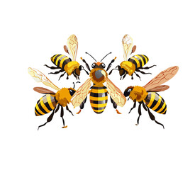 Bumble bee vector graphic