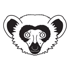 Ruffed Lemur Photography – Vibrant and Endangered Species