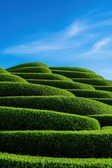 Depict a tourist destination famous for its elaborate topiary art.