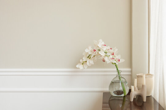 Close-up of a flowering white Boat Orchid in a glass vase with two ceramic vases on a wooden chest of drawers in a living room