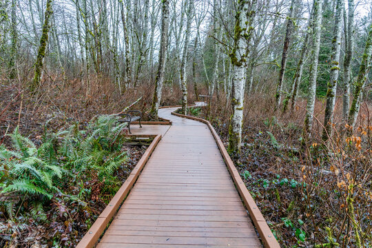 Weslands Winter Boardwalk 2