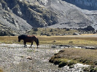  Dando un paseo por el Vignemale, pirineo francés. Caballos y paisajes de alta montaña,Lago e ibón