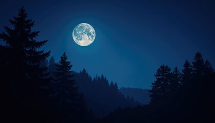 Fototapeta premium Dark forest at night with full moon, trees silhouetted against bright sky, Night, Nature, Moonlight