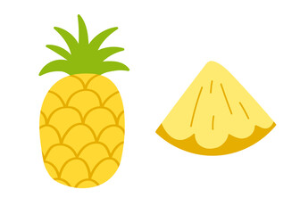 Pineapple tropical fruit abstract flat vector set