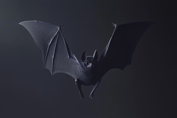 Bat isolated on a dark background