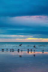 Sunset at the beach of Dieppe in the Normandy