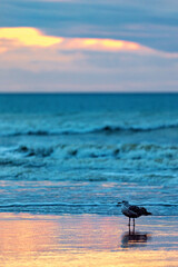 Sunset at the beach of Dieppe in the Normandy