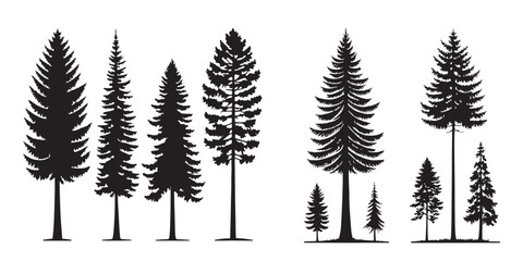 conifer tree silhouettes set