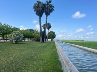 Obraz premium Paisaje de un arrozal en el delta del Ebro