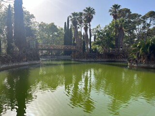 Jardin botánico, lago verde. Parc Sama