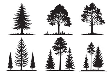 Conifer tree silhouettes 6 set