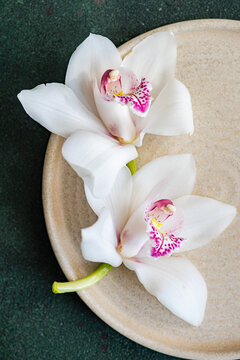 Close-up of two fresh white orchid flowers on a ceramic plate