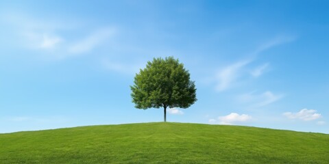 A tree is standing in a grassy field with a clear blue sky above it. Concept of peace and tranquility, as the tree stands alone in the vast open space