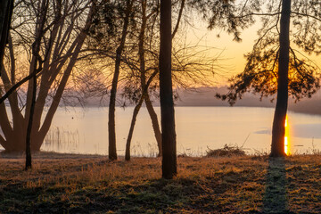 the sun rising over the lake. winter countryside landscape. ice on dried plants in winter. warm...