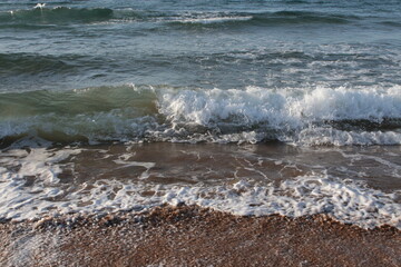Beach of luxury hotel. sunny day, windy, stormy, wavy sea, blue sky. On the beach shines soft yellow-gold brown-golden sand. Sea waves crashing on the shore with wavy white foam. on island of cyprus
