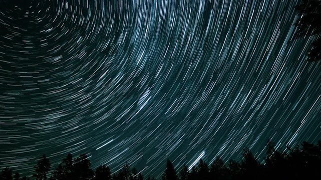 Star trails illuminate the night sky above a dense forest, showcasing the beauty of celestial movement. This captivating view captures the essence of a clear evening in nature.