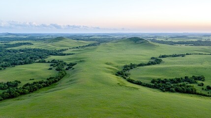 Obraz premium Rolling green hills at sunrise, vast grassland landscape