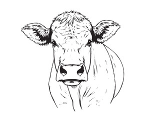 black and white line art cow illustration, clear background, vector