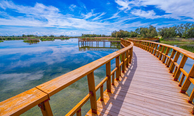 Obraz premium Tablas de Daimiel National Park, Daimiel, Ciudad Real, Castilla La Mancha, Spain, Europe