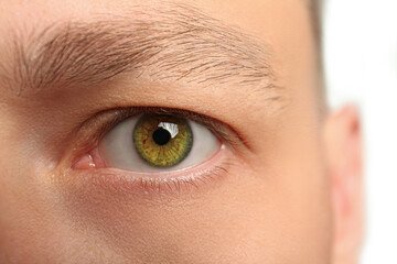 Obraz premium Closeup view of man with green eyes