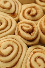 Many raw cinnamon rolls as background, closeup