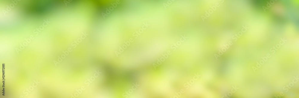 Wall mural spring background - abstract banner - green blurred bokeh lights -