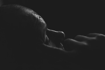 A close-up portrait captures an elderly man in a moment of deep contemplation. His wrinkled...