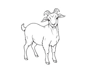 Line art illustration, black and white, strong hard light, clear background, simple goat design, vector