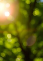 Obraz premium Abstract green bokeh background with sun rays bokeh green bokeh green abstract background light bright blur pattern