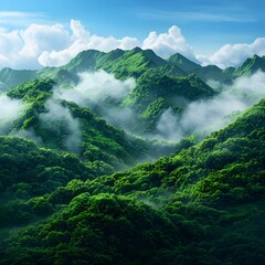 Obraz premium Lush Green Mountains Enveloped in Fog Under a Cloudy Sky
