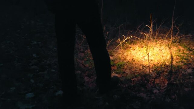Searching for something unseen, a man holds a flashlight in the forest.