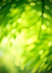 Obraz premium Abstract green spring background with bokeh bokeh green bokeh green abstract background light bright blur pattern