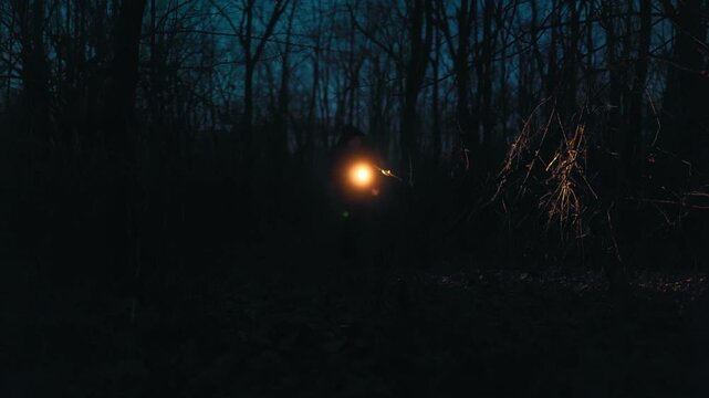 A man with a flashlight ventures deeper into the forest at night.