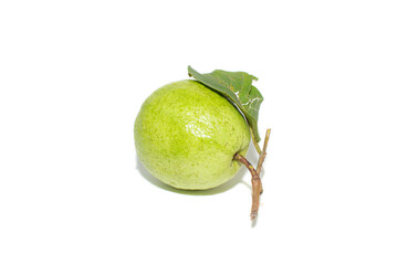 Fresh guava with cut-in-half isolated on white background.