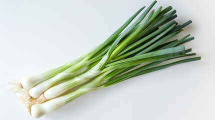 leek on white background. top view. empty space for your text