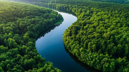 View of a calm river winding through dense green forest with reflections in the water
