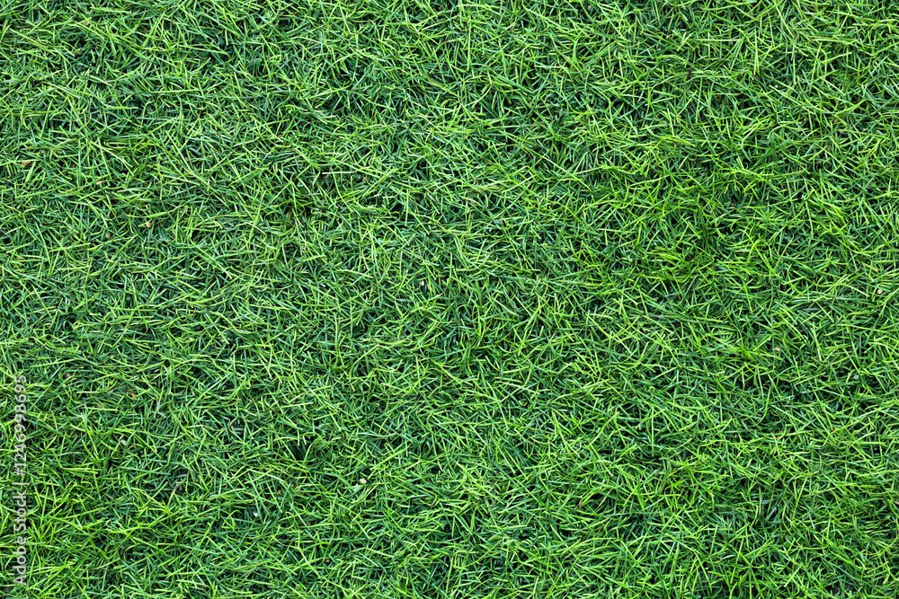 Canvas Prints top view artificial grass background